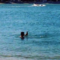 Bourré OKLM, il nage tranquillement avec un serpent !