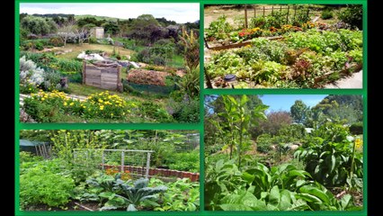 Le monde social et solidaire - EL4DEV - Le Papillon Source - Inner Africa - Permaculture en forêt pluviale
