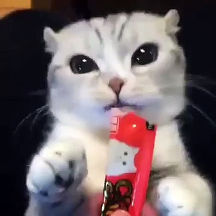 Feed me more
