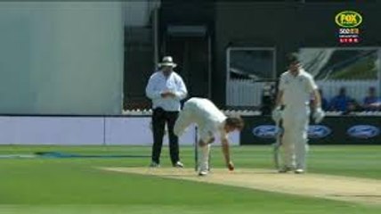 Corey Anderson bowls and catches a stunner