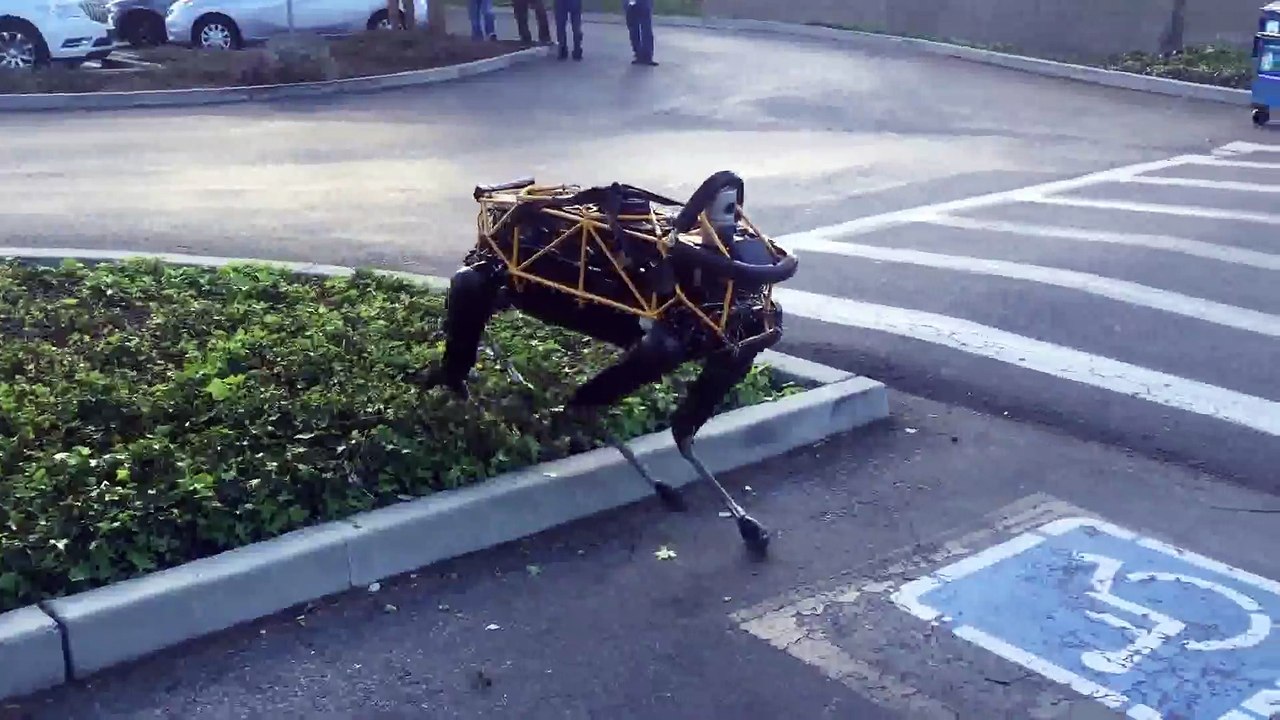 boston dynamics robotu ile köpeğin karşılaşması