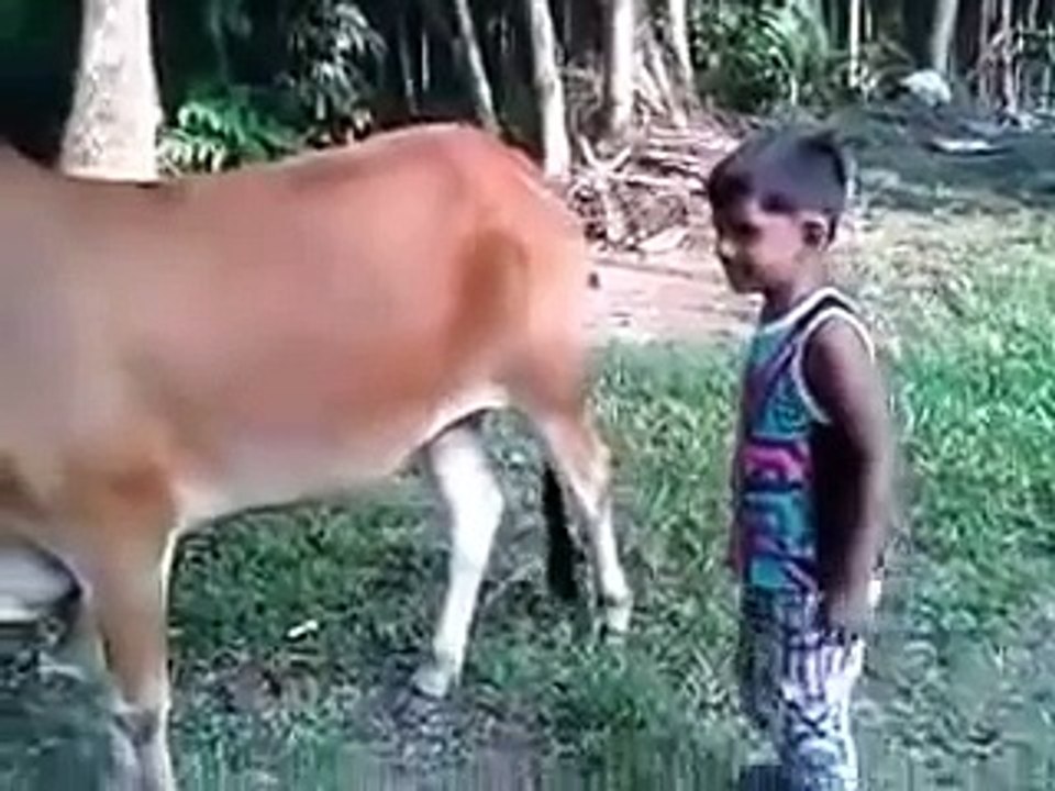 Bangladeshi Fun-