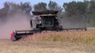 Gleaner S77 Combines Harvesting Soybeans