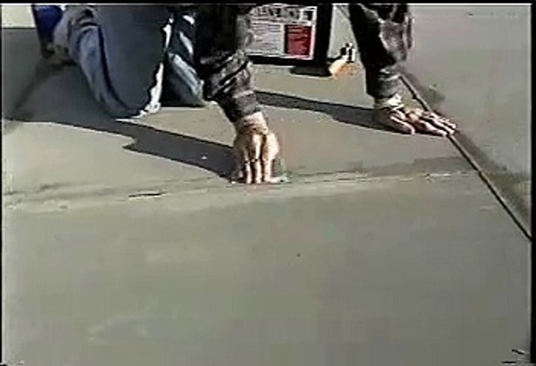 Repairing A Single-Ply Thermoplastic (Hyolon, TPO, or PVC)