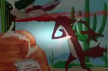Wile E. Coyote and The Road Runner Episode 1