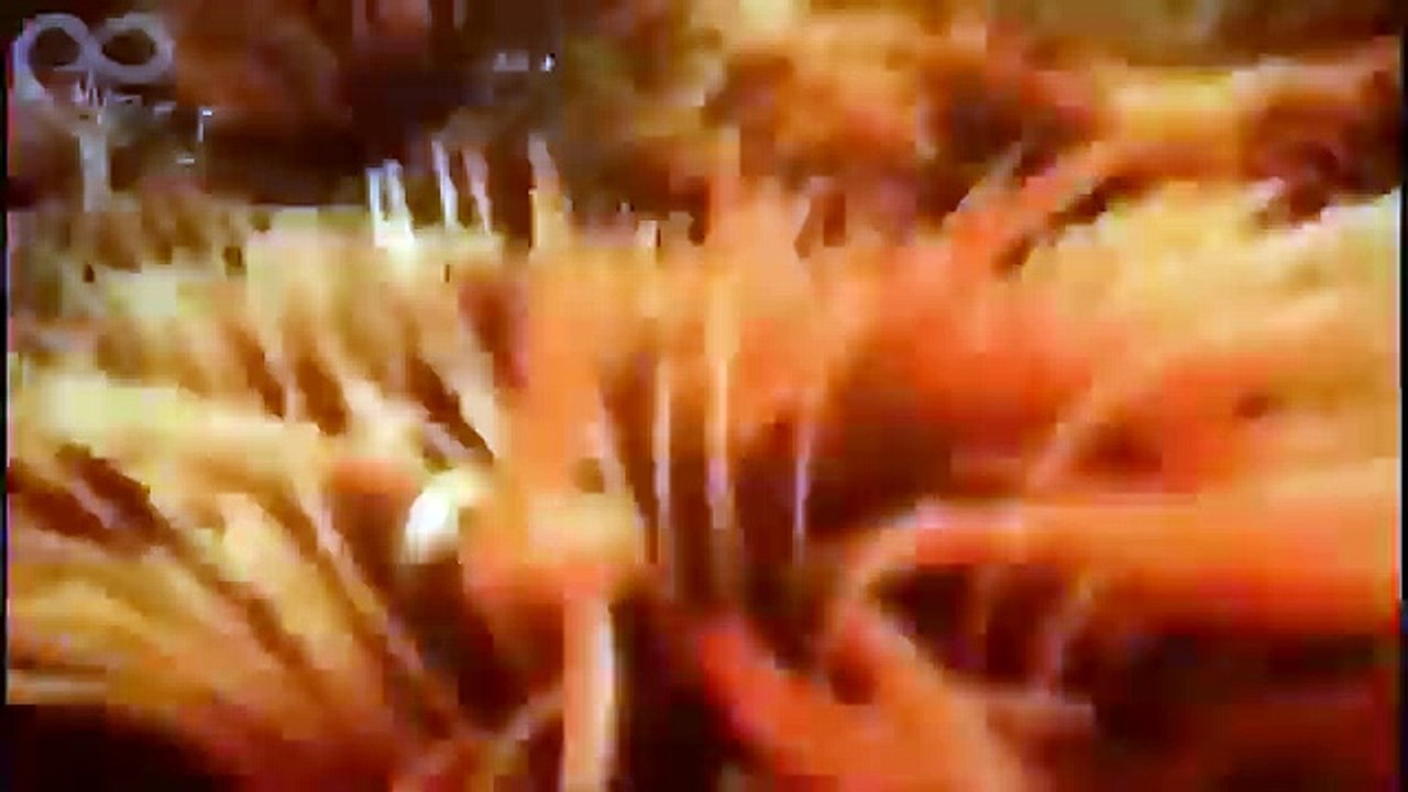 Kako nastaje ljudski život