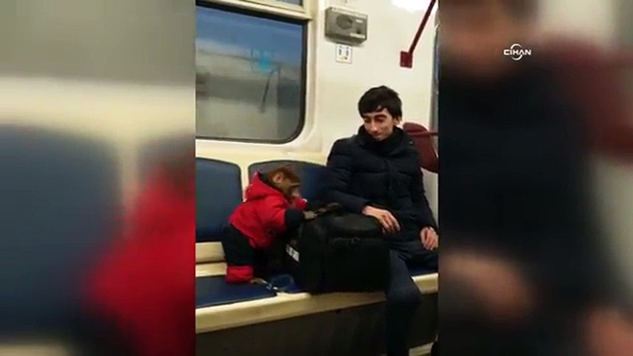 Metroda maymun var!