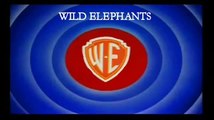 Looney Tunes Intro Bloopers 9: Letter Imperfect