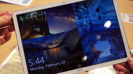 charbon vert senegal