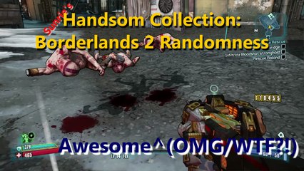 Handsome Collection Borderlands 2 - Randomness - Gaming with Sunrie on PS4
