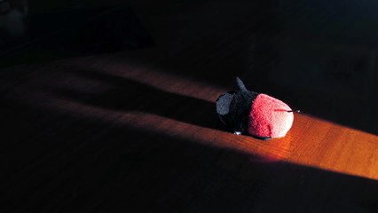 Shadow of a Mouse ** A Tsum Tsum Stop Motion Short ** Starring Mickey Mouse & Friends