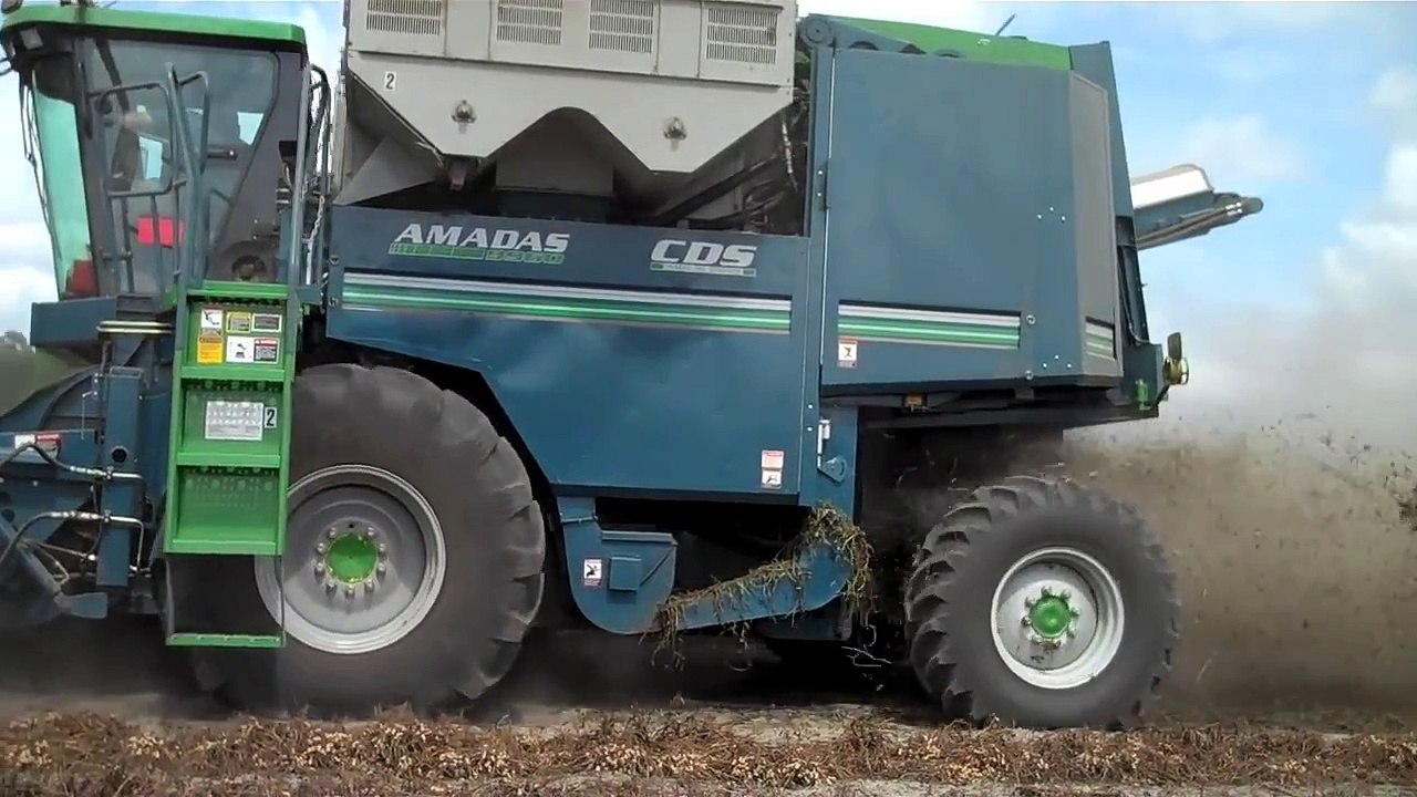 Picking Peanuts