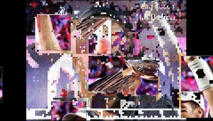 NFL TEAMs- New England Patriots TEAM 2015