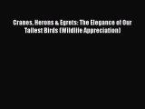 Download Cranes Herons & Egrets: The Elegance of Our Tallest Birds (Wildlife Appreciation)