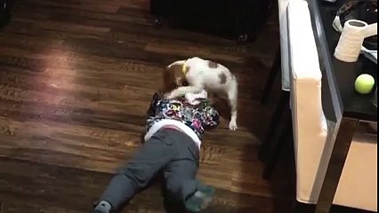 Gandalf the Brittany harassenger