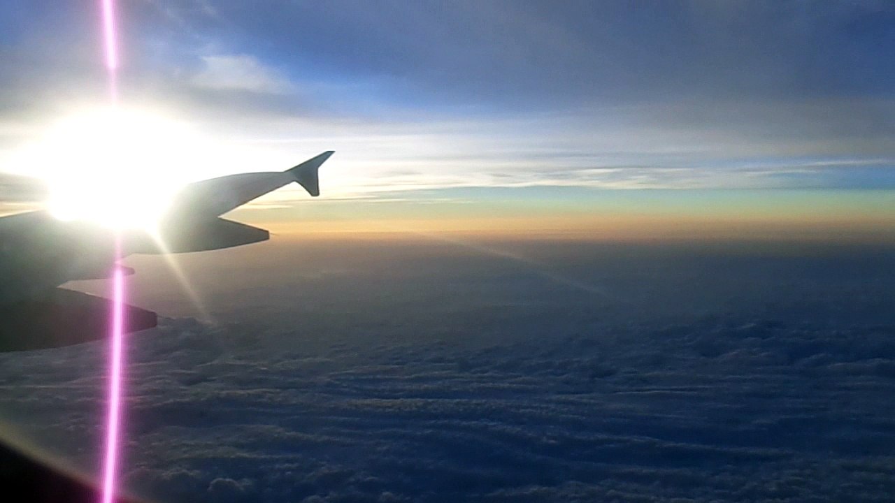 Fly in the sky