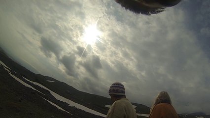 Freeze Gopher!! Adorable Gopher Poses and Grabs Snack