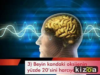 OHA DİYECEĞİNİZ 13 İLGİNÇ BİLGİ