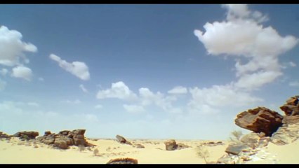 The SouthAfrican Coughing rain Frog - - - h3h3 edit