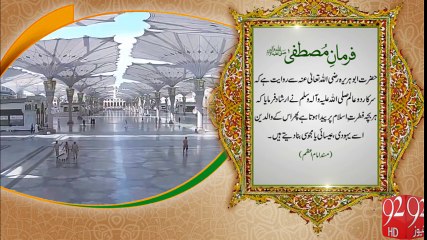 Ferman e Mustafa - 92News HD