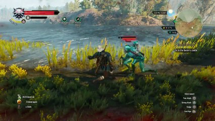 THE WITCHER 3 WALKTHROUGH PART 40 - BLOODY BARON
