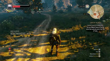 THE WITCHER 3 WALKTHROUGH PART 44 - LADIES OF THE WOOD