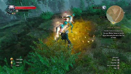 THE WITCHER 3 WALKTHROUGH PART 45 - LADIES OF THE WOOD