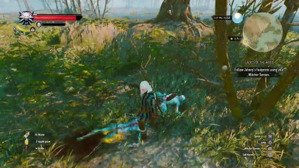 THE WITCHER 3 WALKTHROUGH PART 47 - LADIES OF THE WOOD