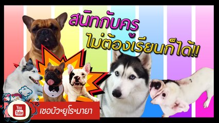 เชอบัว ยูโร มายา ตอนที่ 41  สนิทกับครู ไม่ต้องเรียนก็ได้!!