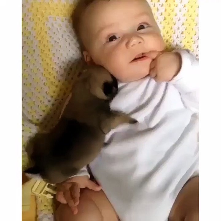 لمسة حياه