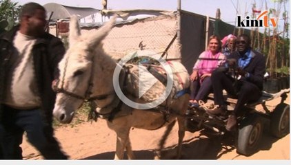 Petani Gaza dapat pokok daripada ICRC