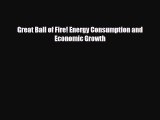 PDF Great Ball of Fire! Energy Consumption and Economic Growth Ebook