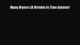 Read Many Waters (A Wrinkle in Time Quintet) Ebook Free