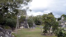 TIKAL Cité Maya au Guatemala