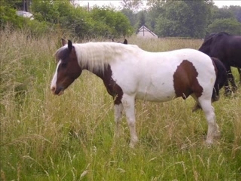 Video du mardi 5 juin