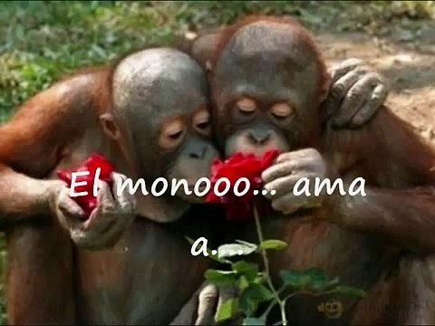 dragon ball kai - opening parodia