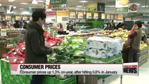 Consumer price index gains 1.3% on-year