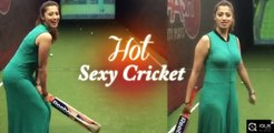 Cricket Level کرکٹ کے شائقین کے لیے یہ خاص ویڈیو