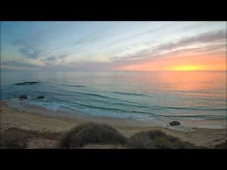 ASMR Music Monday- A Whispered Reading Of The Beach Boys Biography