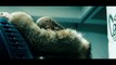 LEMONADE Trailer | HBO