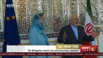 EU delegation holds talks with Iranian ministers