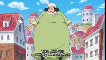 One Piece Dressrosa 736 Supernova find out about Luffy and Law victory [Kaido appears] SUB ENG