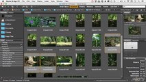008 Creating Image Stacks - 03 Organizing With Bridge / Learning Photoshop CC 2015