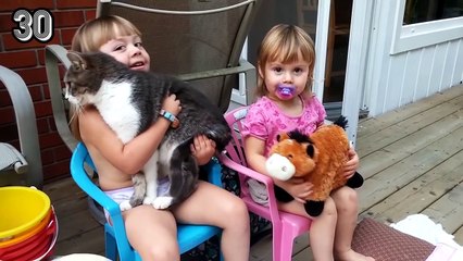 53 Funniest Cat Videos! - CatNips