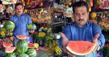 İran Karpuzu Piyasaya Çıktı