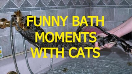 Cats just don't want to bathe - Funny cat bathing compilation