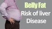 Belly Fat Increases Risk of Liver Disease || Health Tips