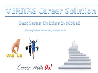 The Veritas Career Solutions Pvt Ltd