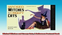 FREE DOWNLOAD  Wicked Witches and Creepy Cats A Halloween Postcard Book READ ONLINE