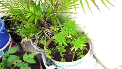 Eroskiller Street clip "On est la" 2014